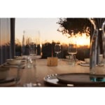 nora1-scaled-1-scaled-600×600